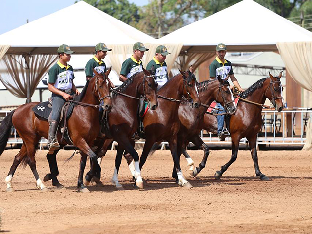 Nacional do Mangalarga tem sucesso de público e audiência