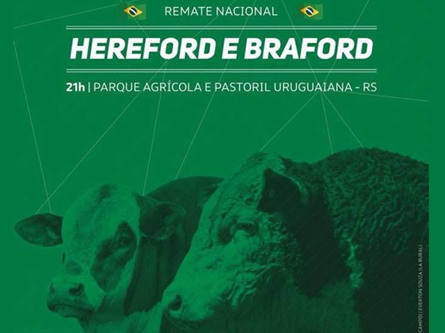 Nacional Hereford e Braford oferta qualidade e pioneirismo