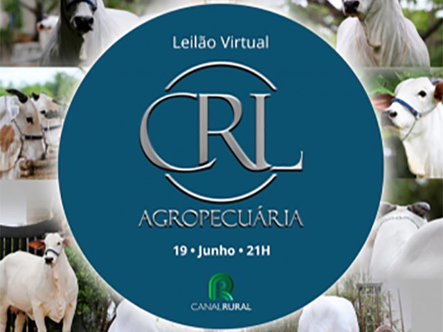 CRL Agropecuária oferta genética campeã da raça Nelore PO