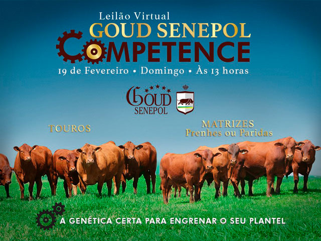 gousenepol640 gousenepol640
