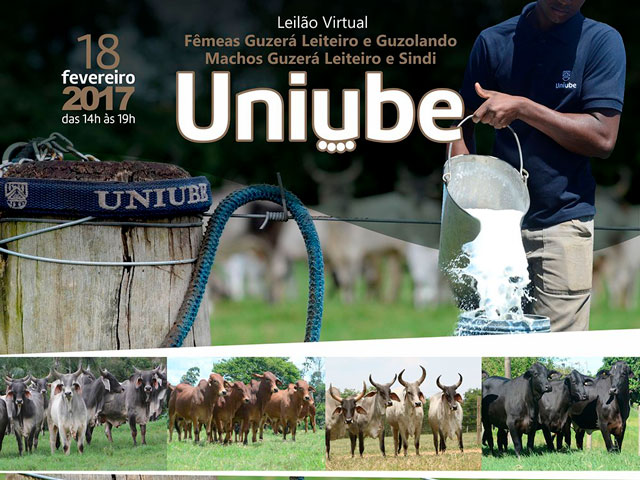 uniubeguzera640 uniubeguzera640