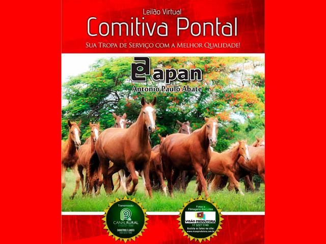 virtualcomitiva640 virtualcomitiva640