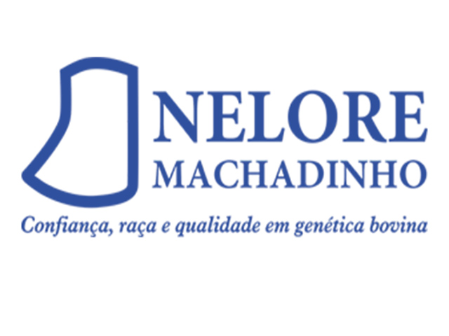 neloremachadinho640