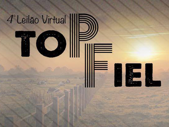 topfiel640 topfiel640