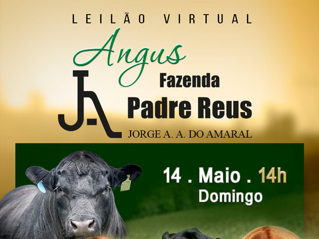 angus640 angus640