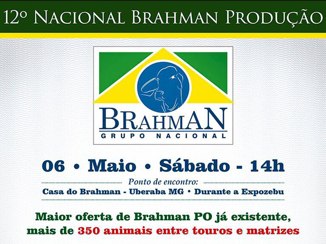brahman640