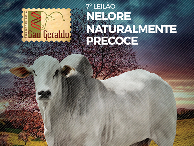 nelorenatural640 nelorenatural640