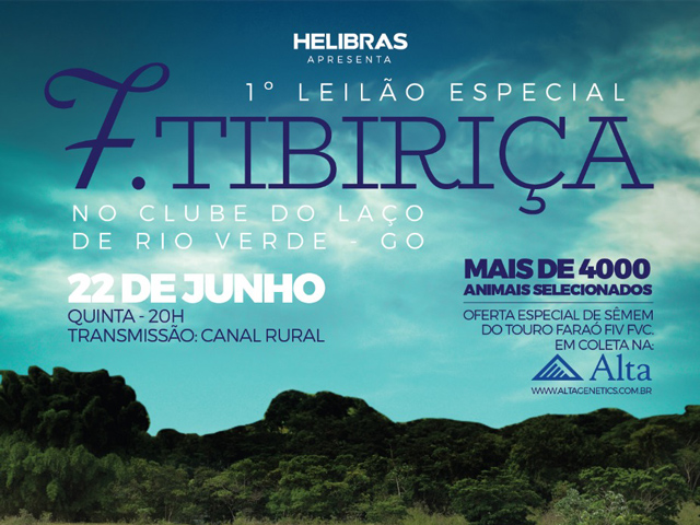 2206programa640 2206programa640