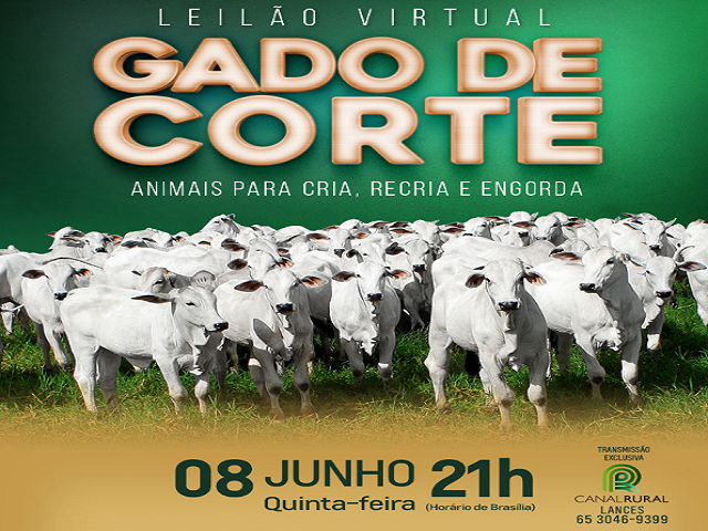 Gado de Corte 640