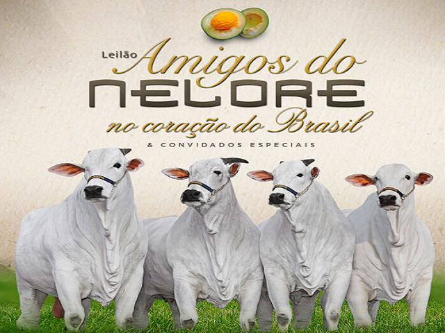 Imagem640 Imagem640