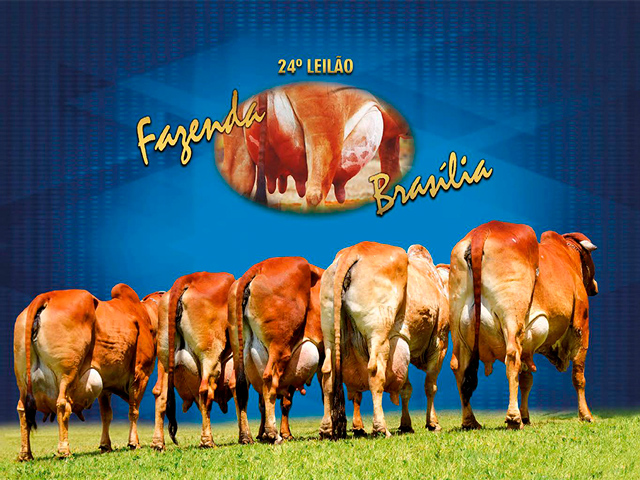 fazendafir640 fazendafir640