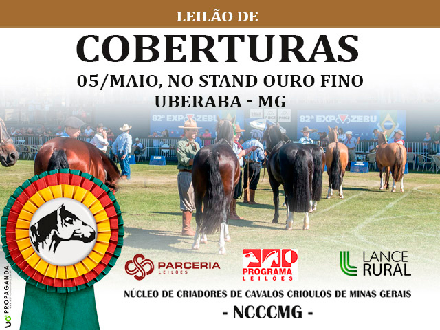 leilao-de-coberturas-nccc-de-minas-gerais-640