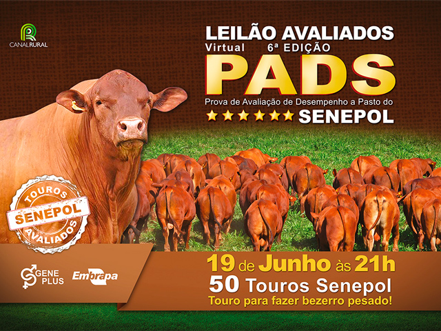 pads640