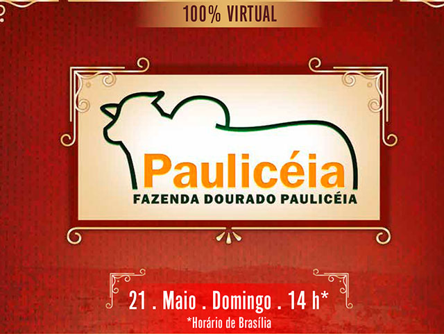 pauliceia640