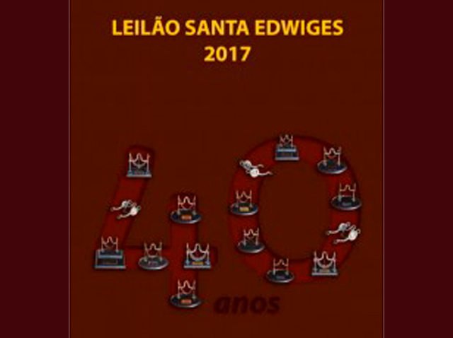 santaedwiges640 santaedwiges640
