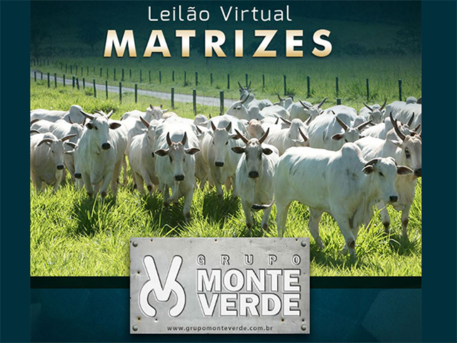 02.06 - 10h Monte Verde 640 1