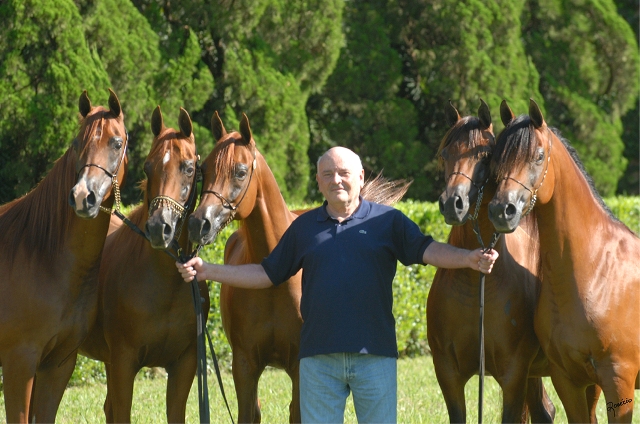 Foto: Divulgação Haras Vila dos Pinheiros