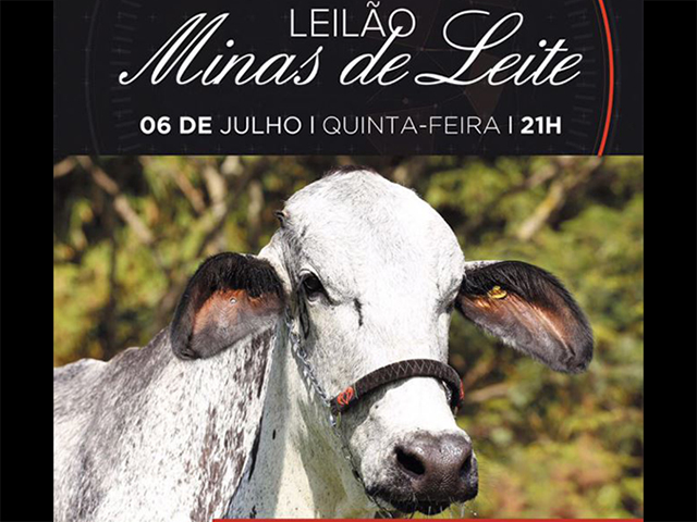 06.07 - 21h Minas de Leite 640