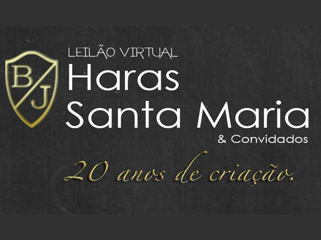 Banner-Santa-MAria640