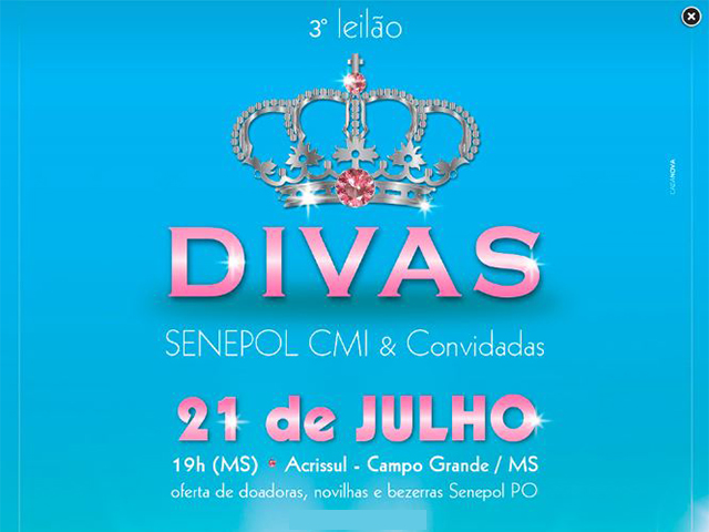 Divas do Senepol CMI 640 Divas do Senepol CMI 640