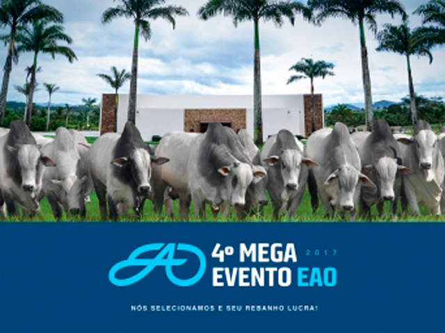 MEGAEVENTOEAO640