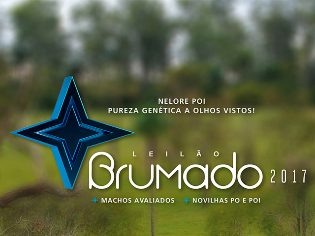 brumado2017640 brumado2017640