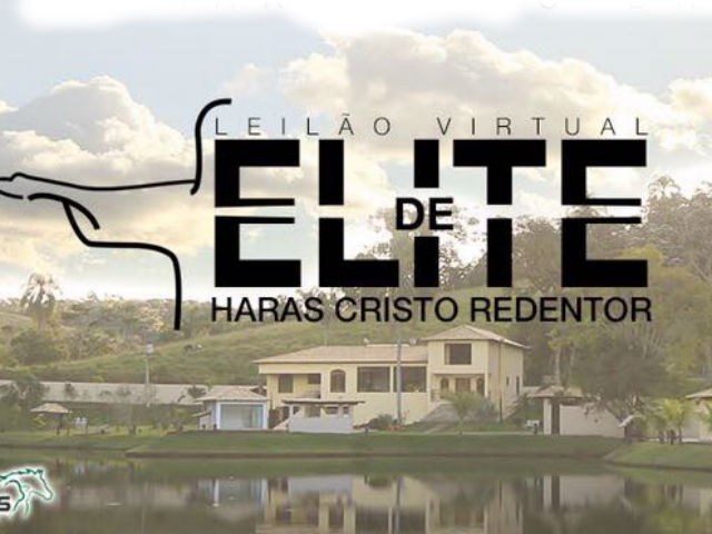 leilão elite cristo redentor 30 07