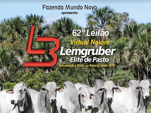 lemgruber 640 lemgruber 640
