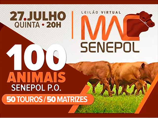 mac senepol 640 mac senepol 640