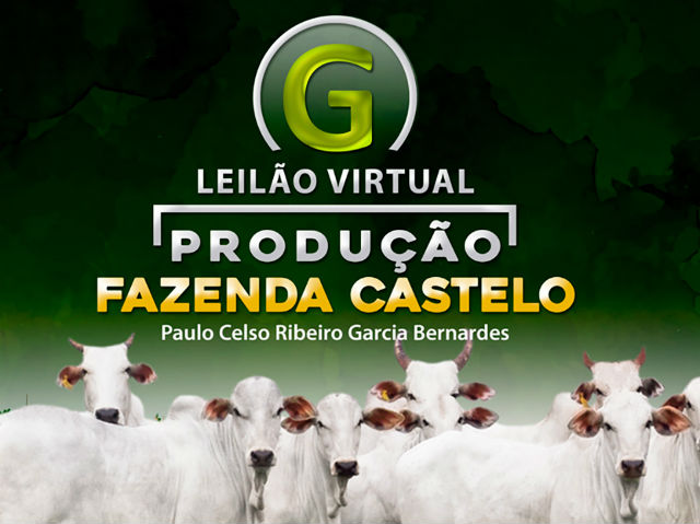 0308 - Programa Leiloes 0308 - Programa Leiloes