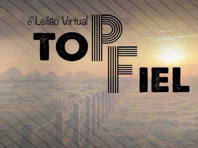 fielleiloes1308 fielleiloes1308