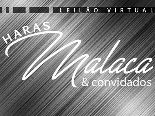 fielleiloes6402 fielleiloes6402