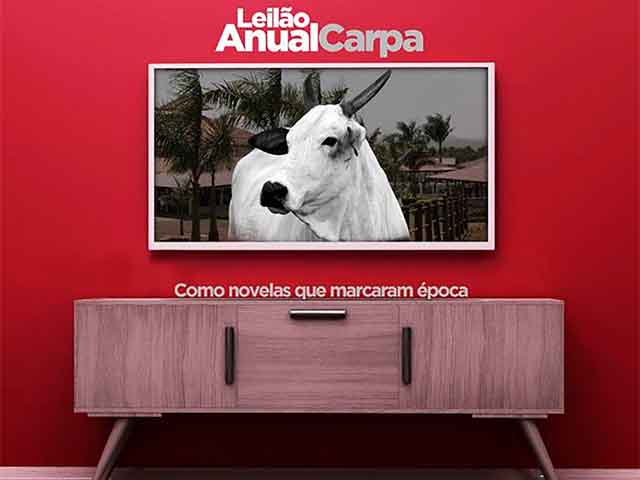 19.08 Nelore Carpa 640 19.08 Nelore Carpa 640