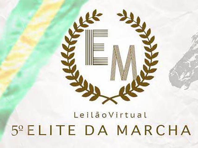 Fiel Leilões 17.09 640 Fiel Leilões 17.09 640