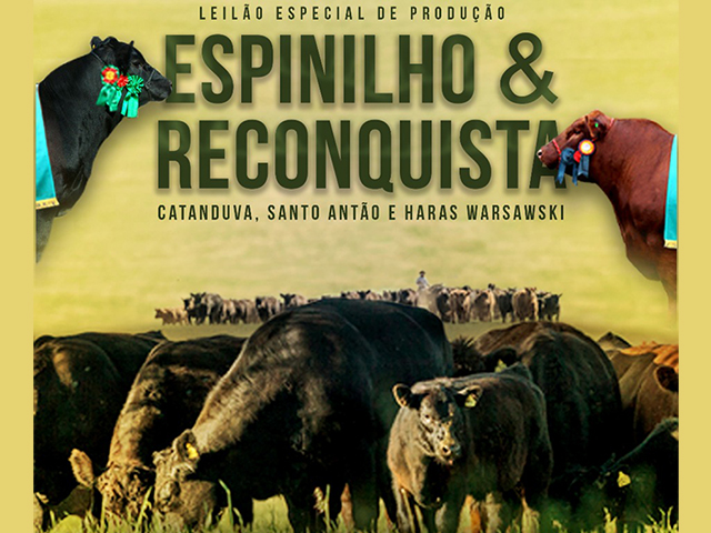 Leilão Espinilho 640 Leilão Espinilho 640