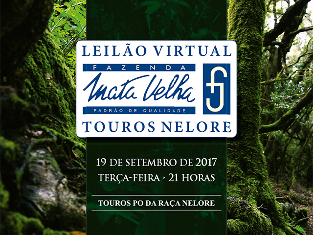 Catalogo Miolo Mata Velha Touros 2017.indd Catalogo Miolo Mata Velha Touros 2017.indd