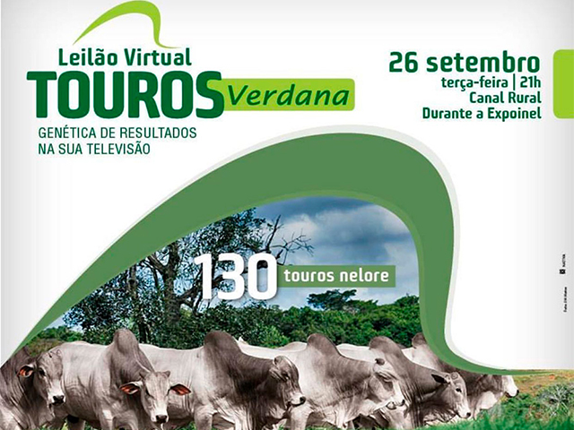 Touros Verdana 640 Touros Verdana 640