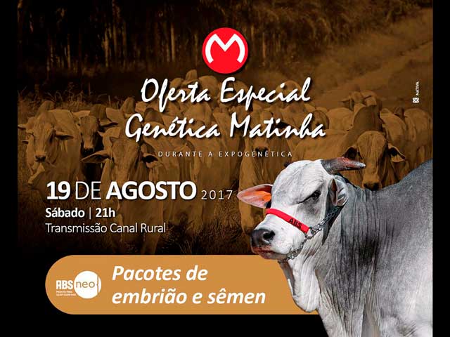 matinhaofertaespecial matinhaofertaespecial