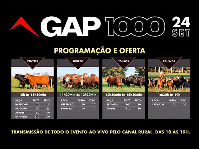 programação640