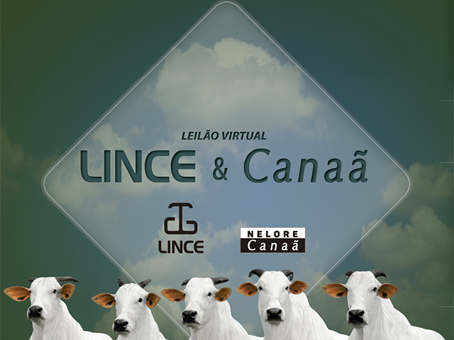 mala direta lince canaã 2017.indd mala direta lince canaã 2017.indd