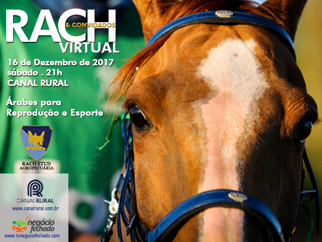 banner-640x480 banner-640x480