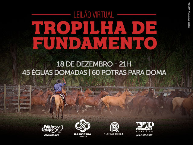 parcerialeiloes640 parcerialeiloes640