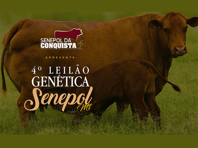 RASC_LOGO_SENEPOL_DA_CONQUISTA RASC_LOGO_SENEPOL_DA_CONQUISTA
