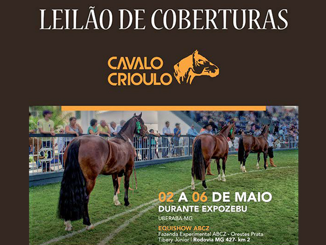 CAVALO CRIOULO 2