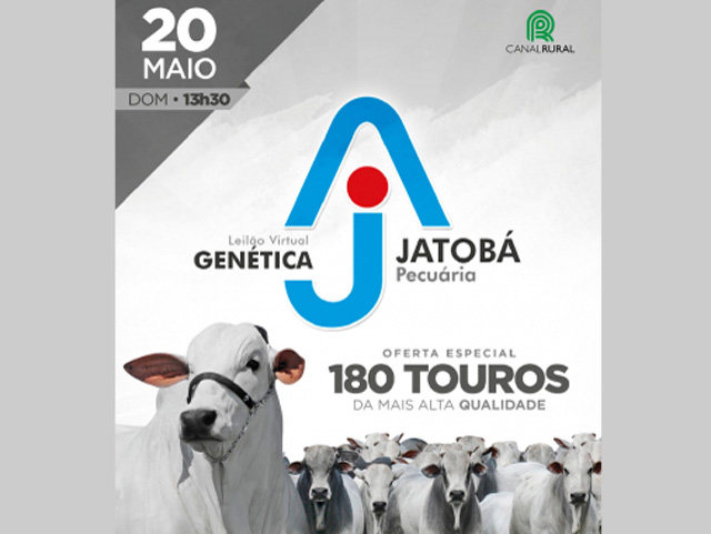 Leilão Virtual Genética Jatobá_640 Leilão Virtual Genética Jatobá_640