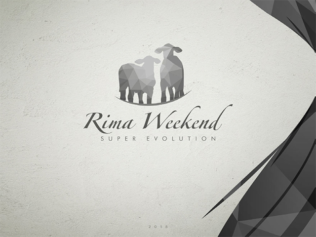 rima-weekend-super-evolution rima-weekend-super-evolution