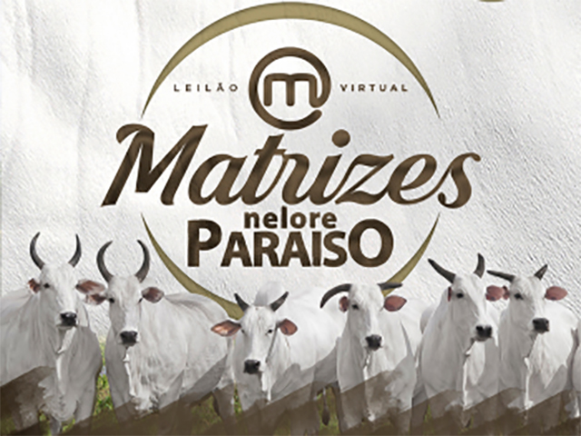 virtual-matrizes-nelore-paraiso virtual-matrizes-nelore-paraiso