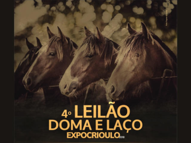 Doma e Laço_640 Doma e Laço_640