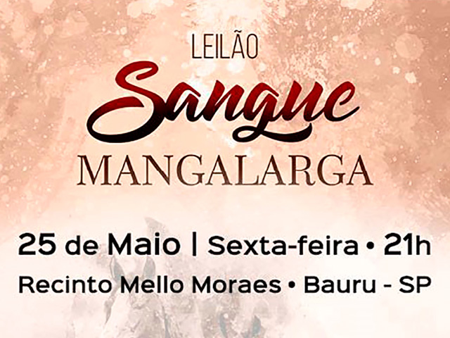 LR_25.05_Sangue Mangalarga_640x480 LR_25.05_Sangue Mangalarga_640x480