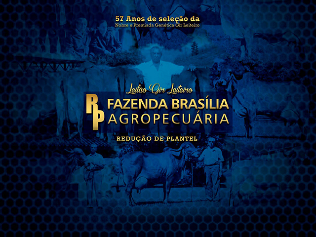leilão_lance_21_06 leilão_lance_21_06